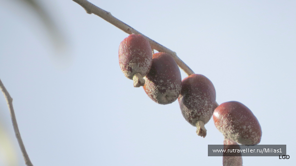 photo 1563537