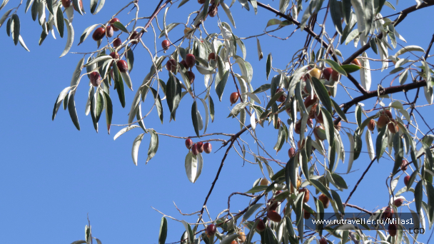 photo 1563538