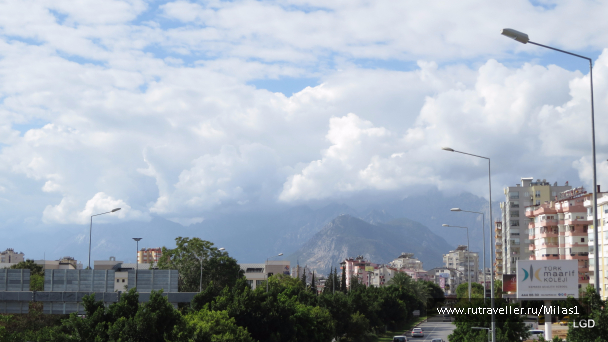 photo 1563542