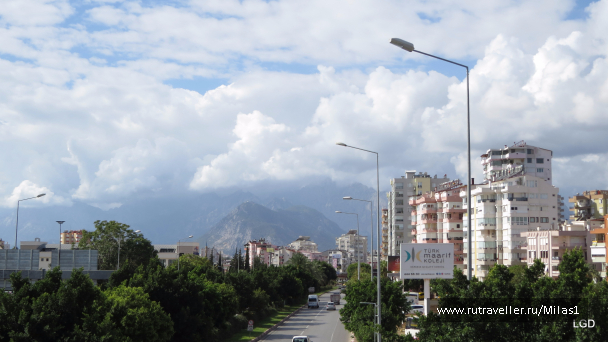 photo 1563543