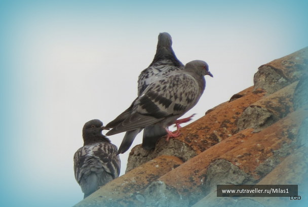 photo 1563559