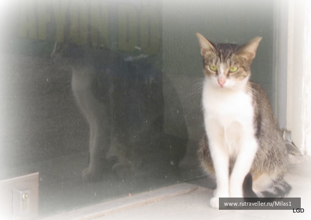 photo 1563561