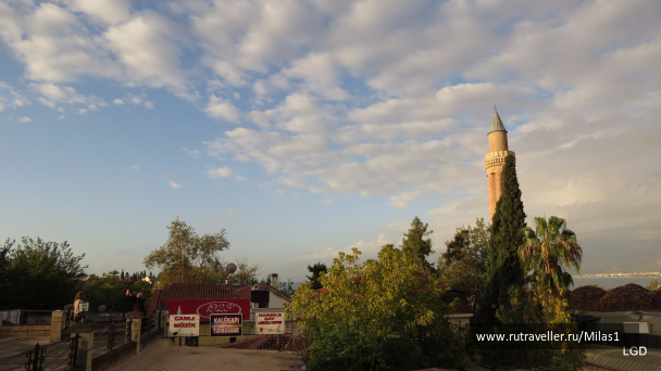 photo 1563564