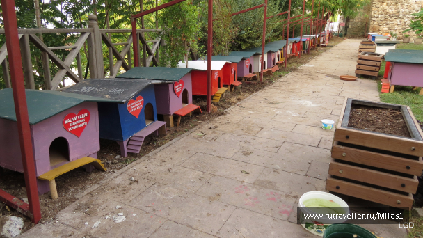 photo 1563568