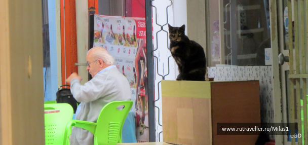 photo 1563580
