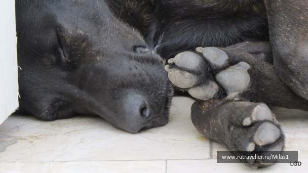 photo 1563586