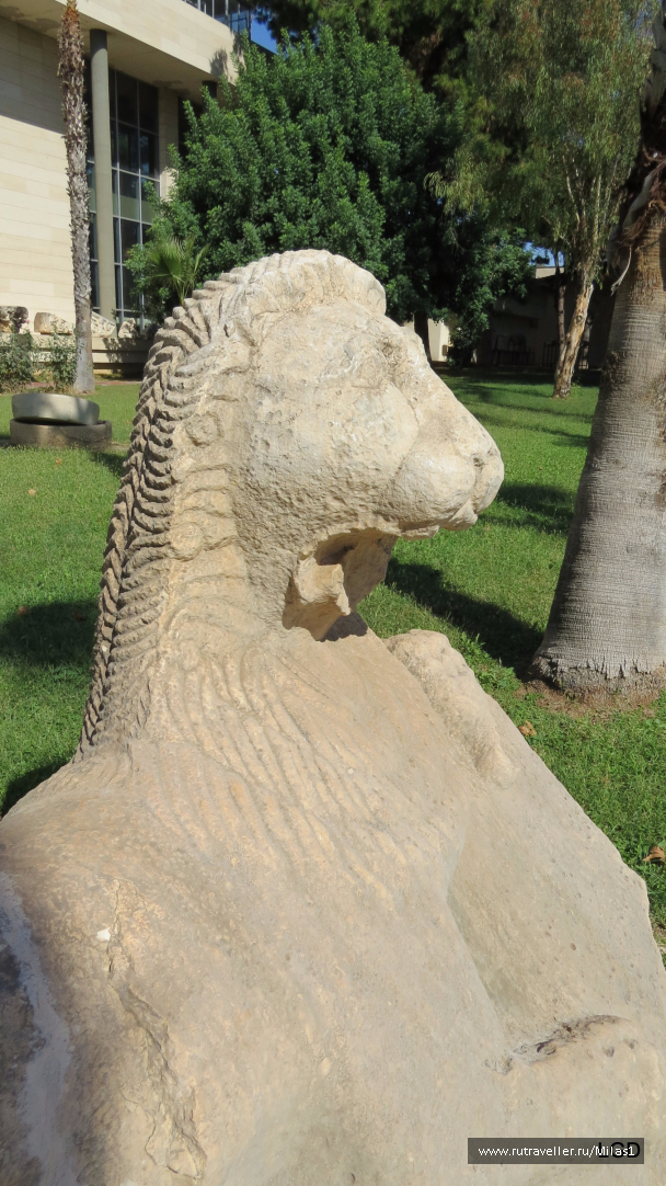 photo 1563605