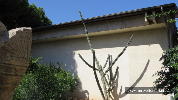 photo 1563612