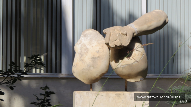 photo 1563614
