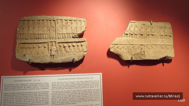 photo 1563639
