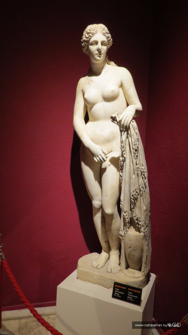 photo 1563681