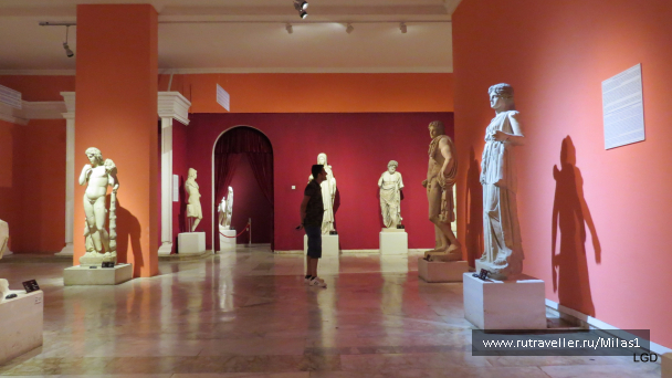 photo 1563684