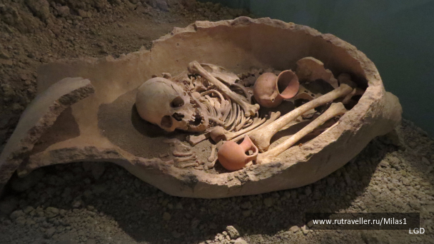 photo 1563723