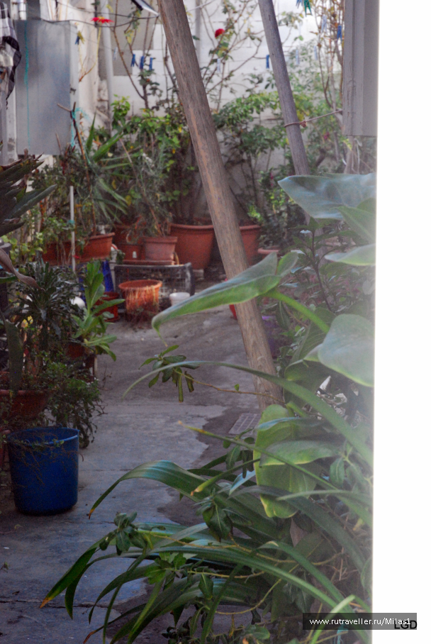 photo 1588181