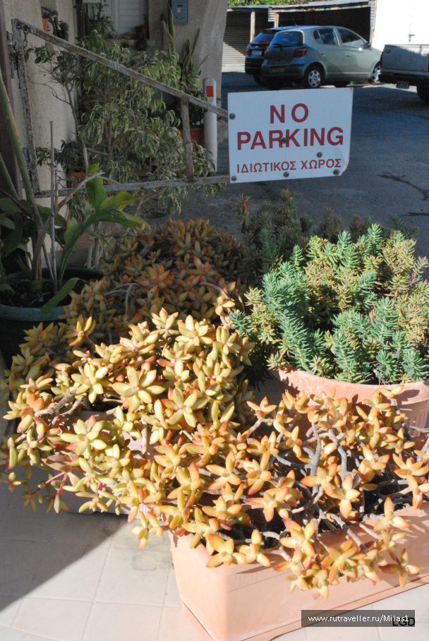photo 1588184