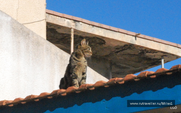 photo 1588187