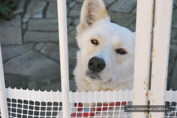 photo 1588240