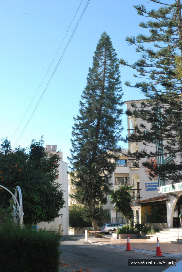 photo 1588251