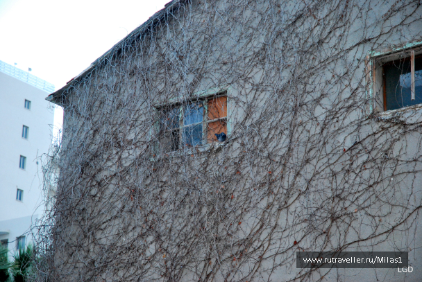photo 1588266