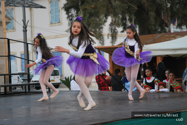 photo 1588271