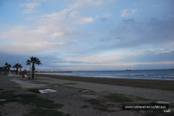 photo 1588285