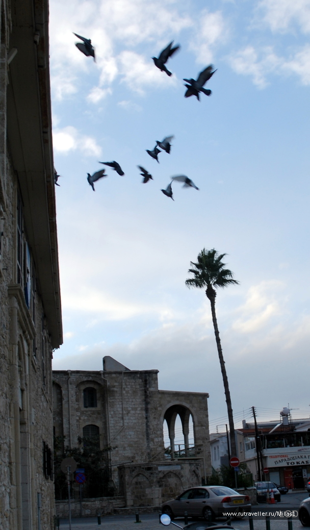 photo 1588286
