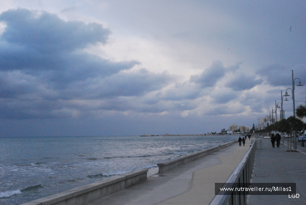photo 1588292