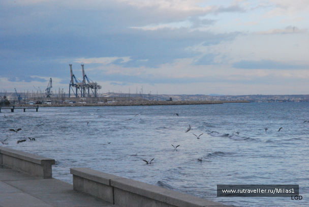 photo 1588293