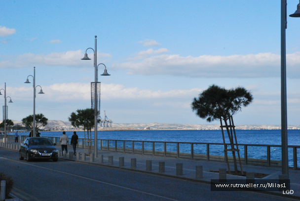 photo 1588311