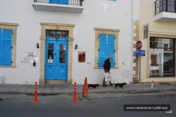 photo 1588362