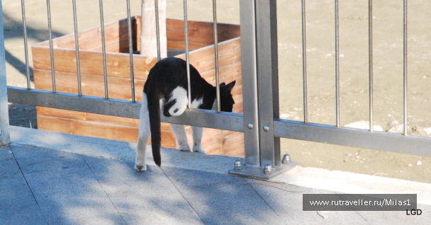 photo 1588538