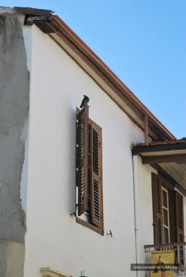 photo 1588669