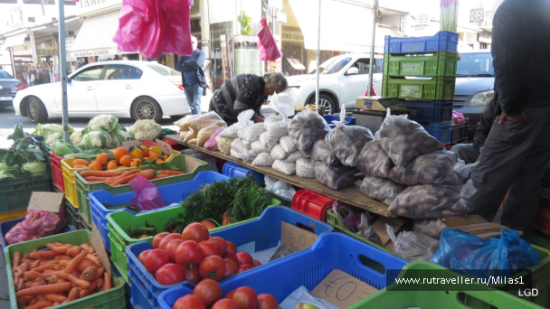 photo 1589213