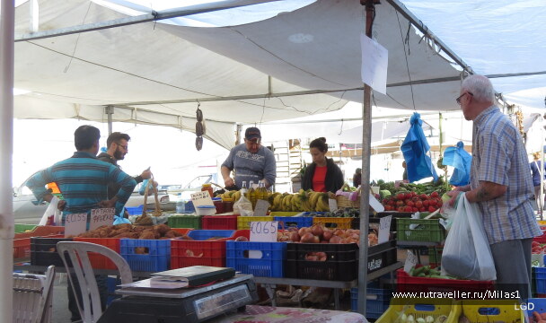 photo 1589218