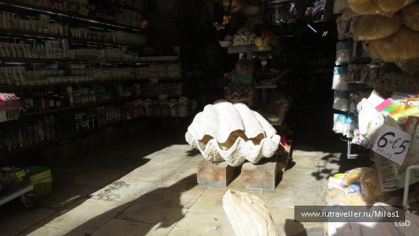 photo 1589246
