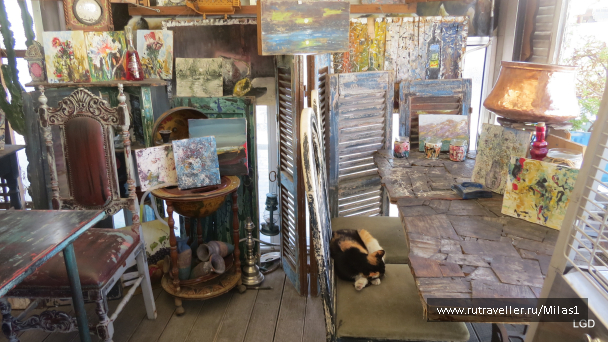 photo 1589276