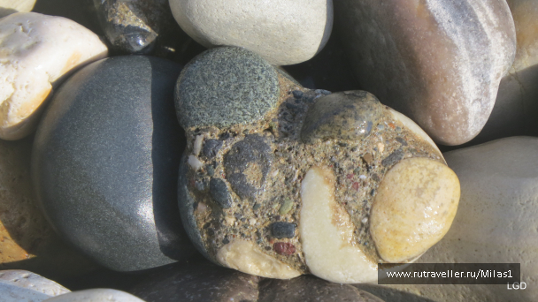 photo 1589313