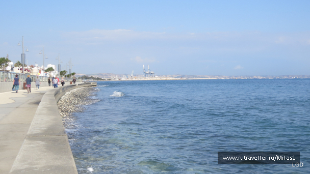 photo 1589314