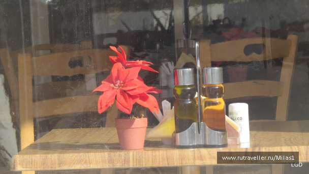 photo 1589317