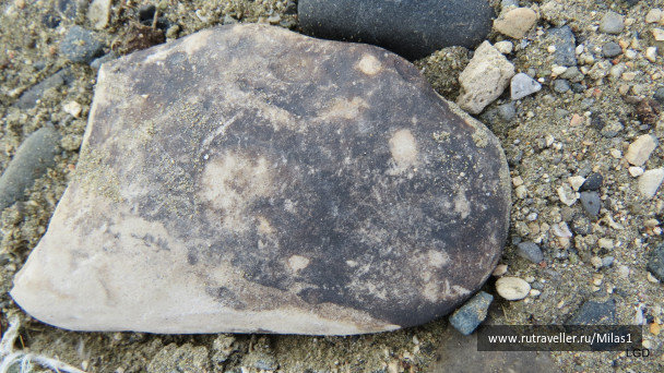 photo 1589325