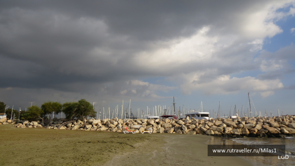 photo 1589333