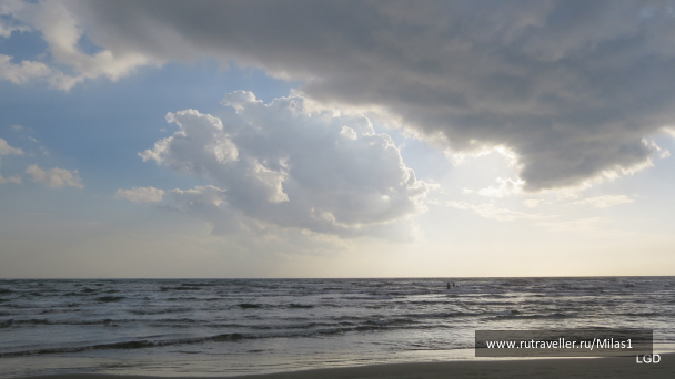 photo 1589338