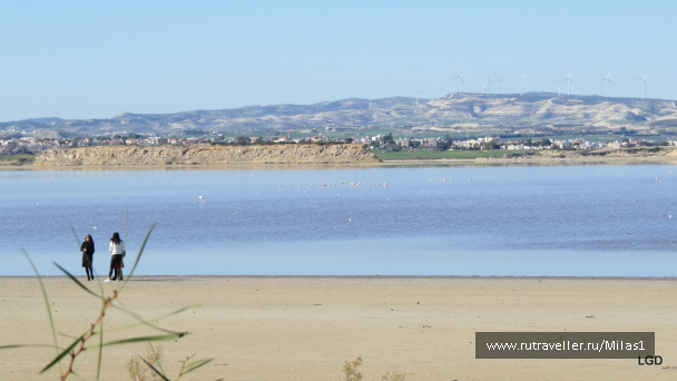 photo 1589361