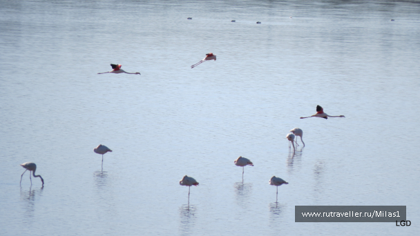 photo 1589370
