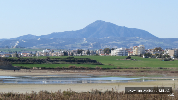 photo 1589376