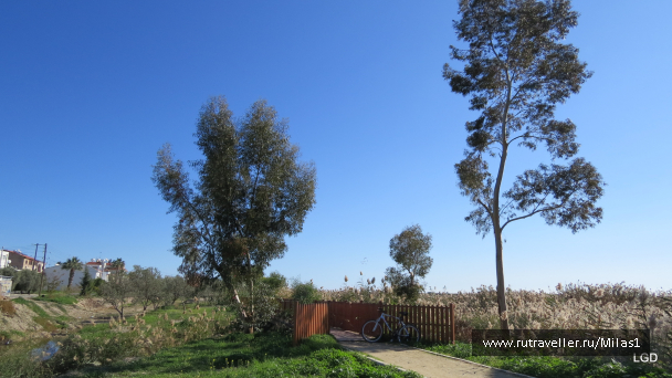 photo 1589388