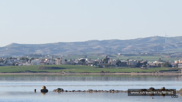 photo 1589402