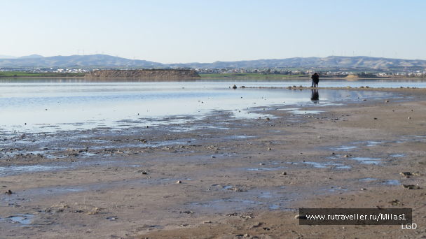 photo 1589403