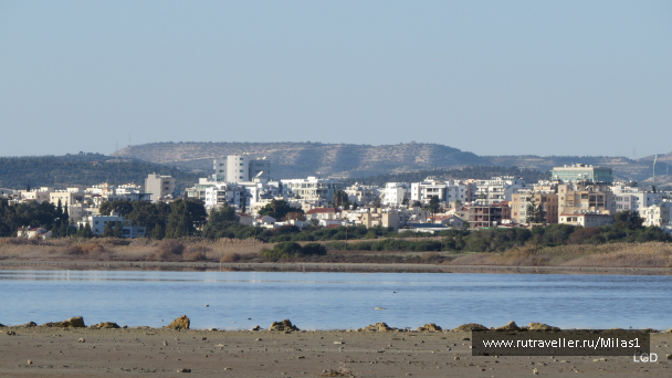 photo 1589404