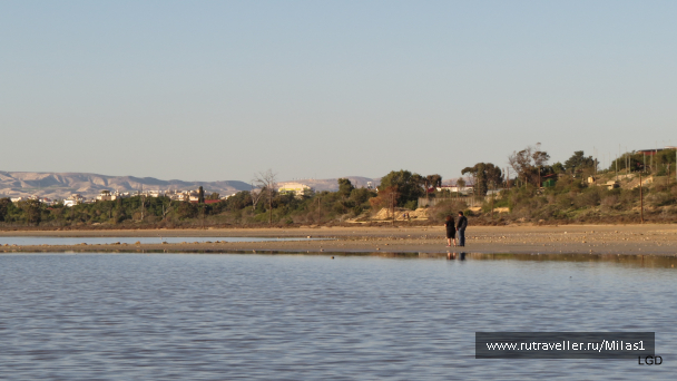 photo 1589406